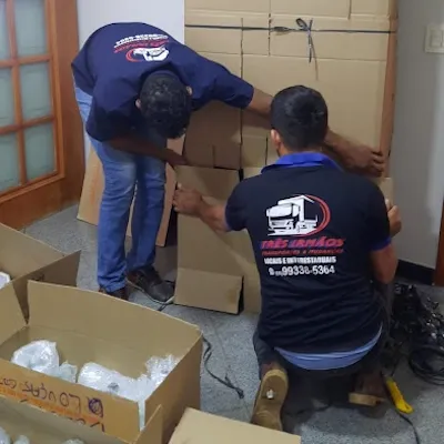 Profissionais organizando caixas para uma mudança